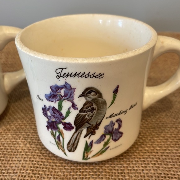 Tennessee coffee mugs vintage set with state bird & flower - Picture 2 of 3